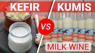 Kefir vs Kumis | What is milk wine?