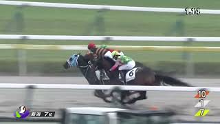 2024年10月26日新潟7R 3歳以上1勝クラス　ダート1800m カゼノランナー