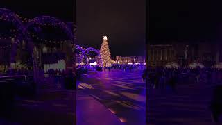 Kaunas Christmas Tree 2024/2025