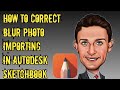 How correct blur image problem on Autodesk sketchbook