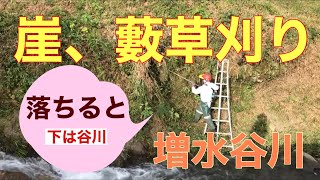 田舎暮らしの日常　谷横の崖薮草を刈ります　飛騨の山奥での生活