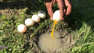 Unbelievable Fishing With Eggs Catch A Lot Of Fish Using Duck Eggs | Amazing Technology
