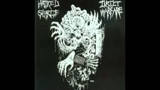 Hatred Surge \u0026 Insect Warfare - Split EP (2006)