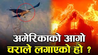 अमेरिकाको शहर जलाएको आगोको वास्तविक कहानी यस्तो | America Fire