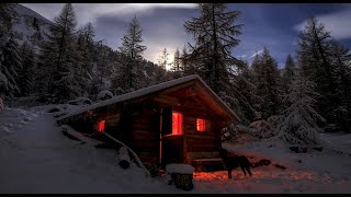 I Found the PERFECT Forest House for Winter