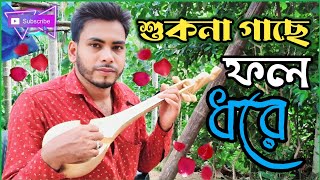 প্রানো বন্ধে যারে দয়া করে গো, অ থার শুকনা গাছে ফল ধরে । বাউল ফরিদ উদ্দিন । Baul Forid Uddin