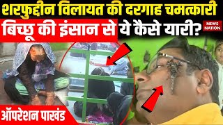 Operation Pakhand: जिन्न-जिन्नात की हाजिरी, पानी से दूर होगी परेशानी? | Amroha Bichchu Dargah