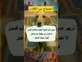 احتجاج من الكلاب على ........