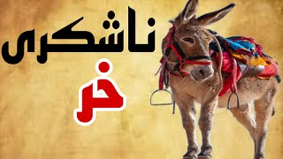 داستان آموزنده از کتاب کهن|داستان سقای فقیر و خرناشکرش