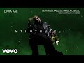 De Mthuda, Kabza De Small, Mckenzie, Young Stunna, Mkeyz - Diwa Kae (Visualizer)