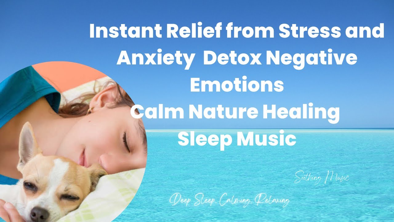 Instant Relief From Stress And Anxiety Detox Negative Emotions Calm