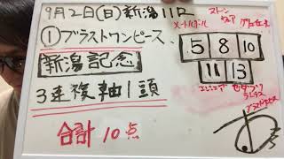 【トモのハリはピカイチ！！】『新潟記念（ＧⅢ）』（２０１８）【予想と馬券の買い目】