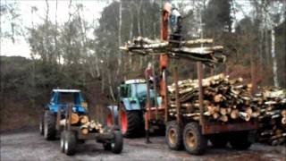 Birch unloading