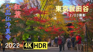 2022 紅葉が美しい九品仏浄真寺(4K-HDR) Beautiful Autumn Colors At Kuhonbutsu Jyoshinji Temple In Tokyo(UHD-HDR)