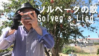 複音ハーモニカ「ソルベーグの歌:Solveg's Lied」西川義夫 第933回