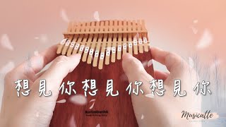 【kalimba tabs】想見你想見你想見你 Miss You 3000 八三夭 ┃卡林巴拇指琴 ┃musicatte kalimba