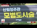 포항 도심 허파 철길숲… 문화·휴식 공간 자리매김 hcn경북방송