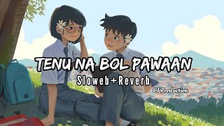 Tenu Na Bol Pawaan [Slowed + Reverb] - CJ Production