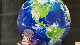 Knowledge 8 Lesson 9 (Grade 1) - Habitat destruction and endangered species