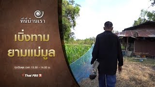 เบิ่งทามยามแม่มูล : ที่นี่บ้านเรา (4 ธ.ค. 62)