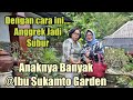 Orchid Garden Tour (7) - Anggrek tumbuh subur dan beranak banyak dengan Perawatan  ini