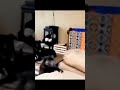 Part 137_ Funny animals videos from TikTok! Try not to laugh! 😹🐶🤣🔥🤣