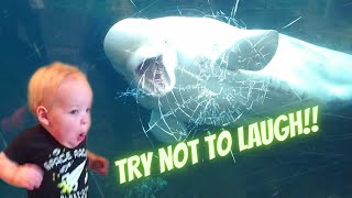 Funniest baby at the aquarium |Funny  baby reaction at the aquarium |