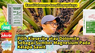 Pilih Kieserite atau Dolomite Sebagai Sumber Magnesium Pada Kelapa Sawit