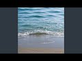 Waves on the Shore