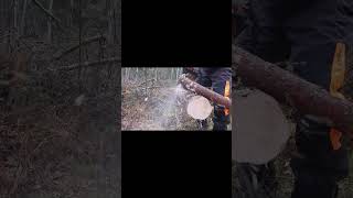 Stihl Light 04 VS Oregon Speedcut #shorts