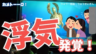 彼氏に浮気されて別れました…どう立ち直ればいいですか？【東京ディズニーシー・タートルトーク】