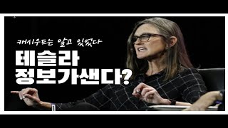 [🔥테시간227] 테슬라(TSLA)정보가 샌다???(+ 그녀는 이미 알고 있었다?)