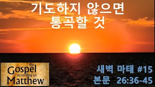 기도하지 않으면 통곡할 것| 마태#15 | 26:36-45  | 새벽예배 1/30/2025 | 김중열 목사| 탬파두란노교회