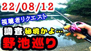 【バス釣り】視聴者様にリクエストされた秘境の池にも調査に行ってみた！野池巡り 22/08/12  岡山県 溜池 野池 　夏のバスフィッシング