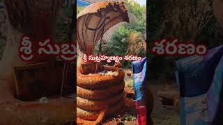 Sri Subramanyam Sharanam శ్రీ సుబ్రహ్మణ్యం శరణం #like #shortvideo subscribe