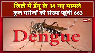 Indore Dengue Case Update : डेंगू के 14 नए मामले आए सामने | कुल मरीजों की संख्या पहुंची 663