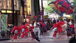 よさこい鳴子連 今日一屋（四日市よさこい祭り2018）公園通り会場