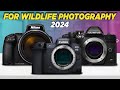 Best Camera for Wildlife Photography 2024 - Top 5 You Should Consider!