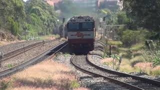 MAITLAND STEAM FEST  2018