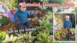 BROMELIAD SHOPPING GALORE // Saan ko sila ilalagay?