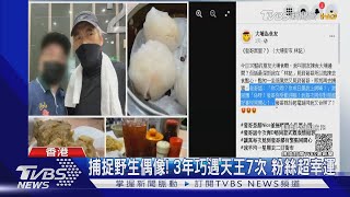 捕捉野生偶像!粉絲3年遇天王7次 周潤發罕見皺眉:你又來?｜TVBS新聞