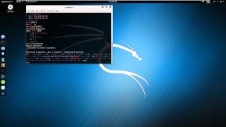 Kali - Scapy Basics