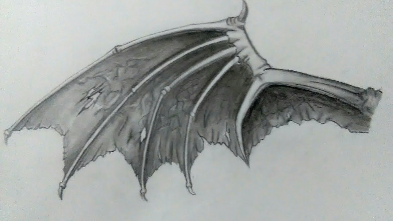 Wonderful Tips About How To Draw Anime Devil Wings Loadexam