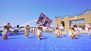 [4K] 貝塚よさこい舞人 ①　踊らんかい!!岸和田よさこいBAYSIDE!! 2024