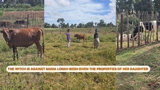 SHOCKING!!KUMBE BONNY WAS INVESTING  ON LONAH MONEY🙌🔥SEE THE COWS HE HAD BOUGHT FOR LONAH BEFORE 💔😭