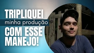 Como triplicar a produção de leite! é possível?