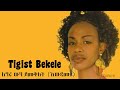 Tigist Bekele - Awdametu | ትዕግሥት በቀለ - አውዳመቱ [Audio]