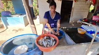 MIREN QUE BENDICION DE PESCADOS TRAJO KOMI GRACIAS A DIOS🙏🙏🙏