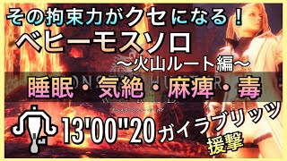 【MHW】超楽してソロベヒーモス！意外にしられていないライトボウガンの魅力を伝えたい！マムタロト 鑑定武器「ガイラブリッツ・援撃」/13'00\