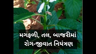 કૃષિ વિજ્ઞાન કેન્દ્રના સિનિયર સાયન્ટિસ્ટ સાથે ચર્ચા